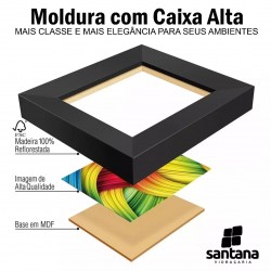 Quadro Decorativo Agro Bandeira do Brasil Sala Escritório Hall