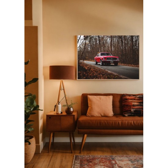 Quadro Decorativo Mustang em Adesivo com Moldura Caixa