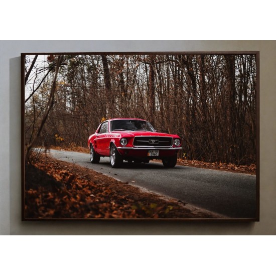 Quadro Decorativo Mustang em Adesivo com Moldura Caixa