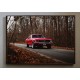 Quadro Decorativo Mustang em Adesivo com Moldura Caixa