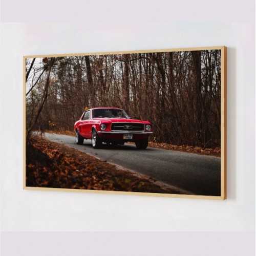 Quadro Decorativo Mustang em Adesivo com Moldura Caixa