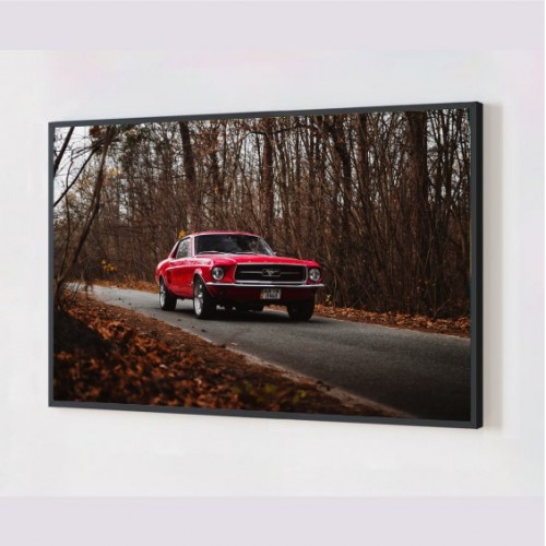 Quadro Decorativo Mustang em Adesivo com Moldura Caixa
