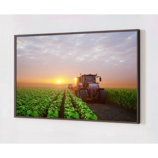 Quadro Decorativo Plantação em Adesivo com Moldura Caixa