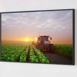 Quadro Decorativo Plantação em Adesivo com Moldura Caixa