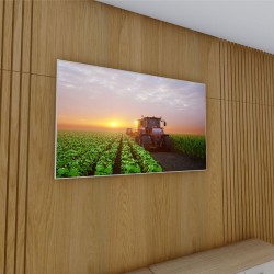 Quadro Decorativo Plantação em Canvas Moldura Negativa