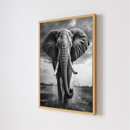 Quadro Decorativo Elefante Adesivo com Moldura Caixa