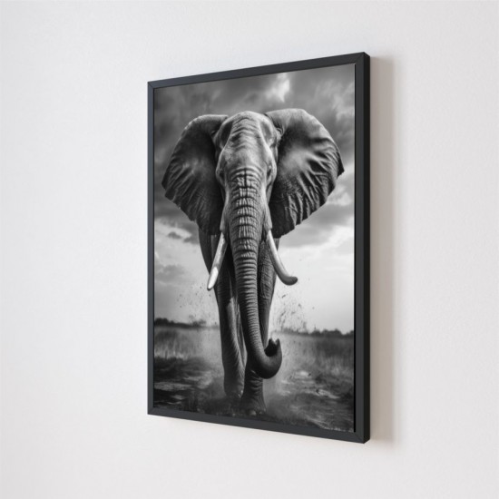 Quadro Decorativo Elefante Adesivo com Moldura Caixa