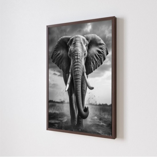 Quadro Decorativo Elefante Adesivo com Moldura Caixa