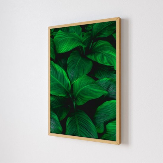 Quadro Decorativo Folhagens em Adesivo com Moldura Caixa