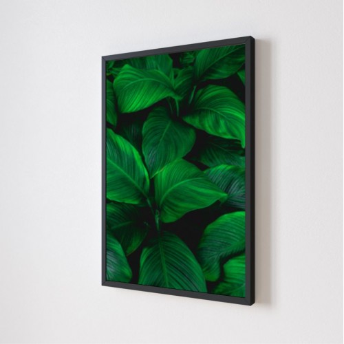 Quadro Decorativo Folhagens em Adesivo com Moldura Caixa