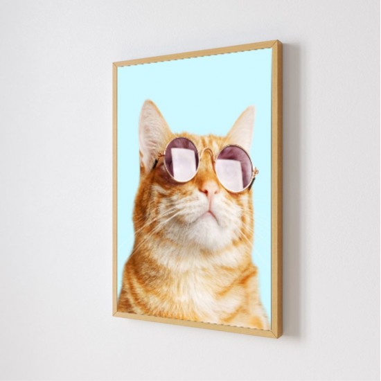 Quadro Decorativo Gato de Óculos em Adesivo com Moldura Caixa