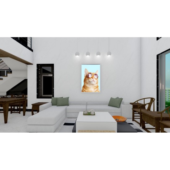 Quadro Decorativo Gato de Óculos em Adesivo com Moldura Caixa