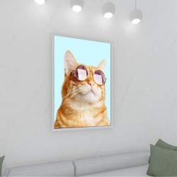 Quadro Decorativo Gato de Óculos em Adesivo com Moldura Caixa
