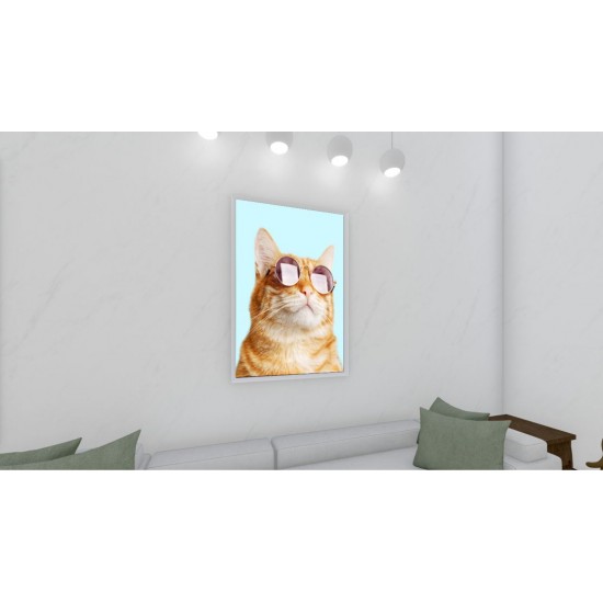 Quadro Decorativo Gato de Óculos em Adesivo com Moldura Caixa