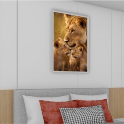 Quadro Decorativo Leões em Adesivo com Moldura Caixa