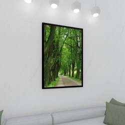 Quadro Decorativo Bosque em Adesivo com Moldura Caixa Quadro Decorativo Bosque em Adesivo com Moldura Caixa