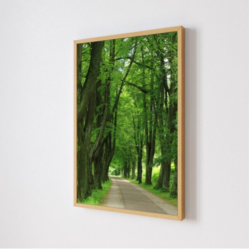 Quadro Decorativo Bosque em Adesivo com Moldura Caixa