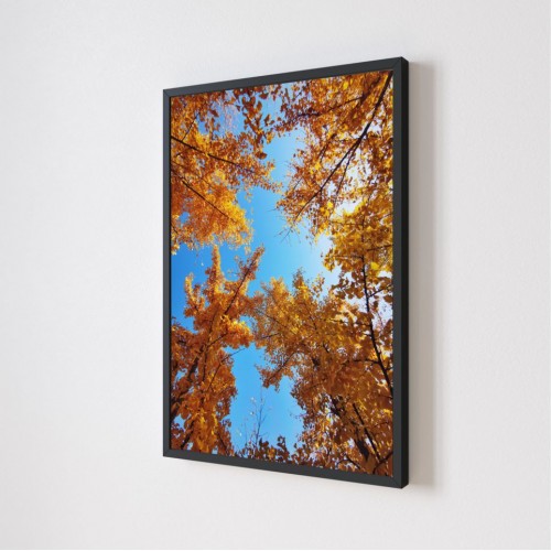 Quadro Decorativo Primavera em Adesivo com Moldura Caixa