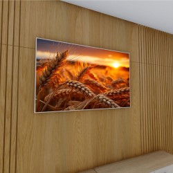 Quadro Decorativo Plantação de Trigo em Canvas Moldura Negativa