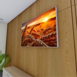 Quadro Decorativo Plantação de Trigo em Canvas Moldura Negativa