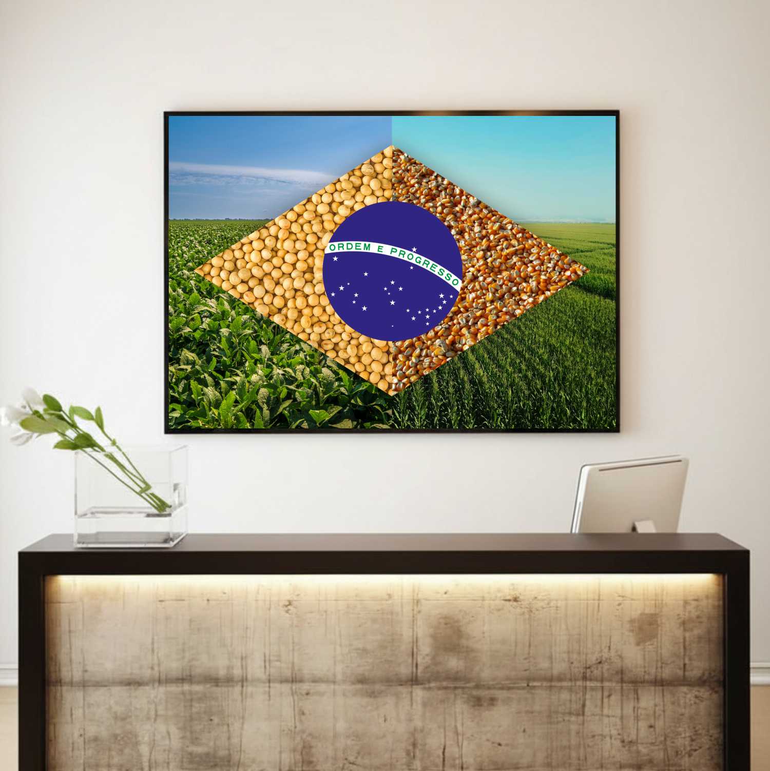 Quadro Decorativo Bandeira do Brasil Agro Modelo 02
