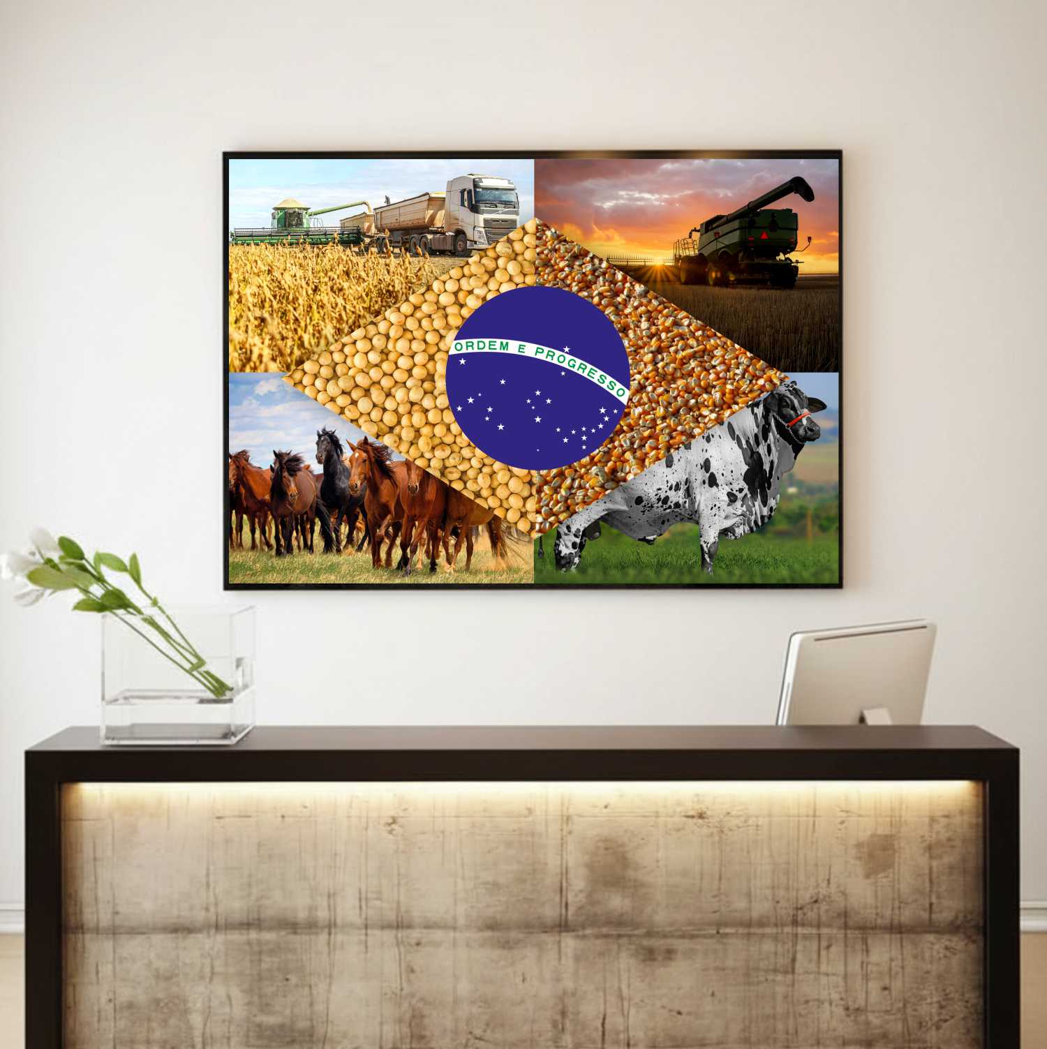 Quadro Decorativo Bandeira do Brasil Agro Modelo 04