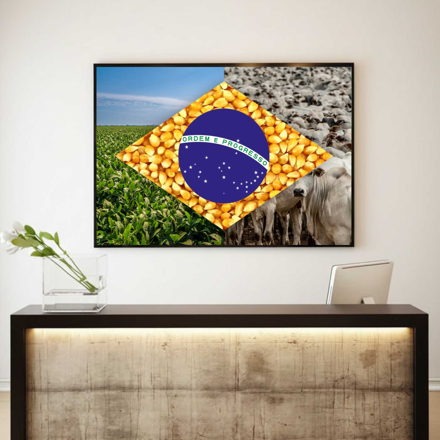Quadro Decorativo Bandeira do Brasil Agro Modelo 03