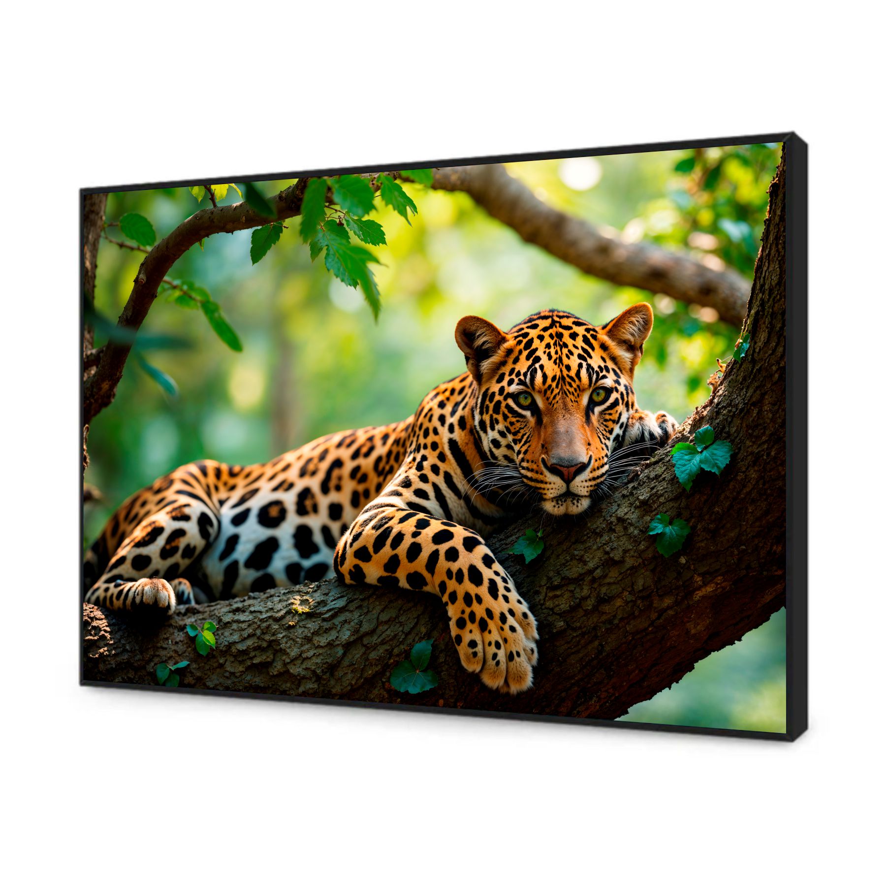 Quadro Decorativo Onça Pintada Pantanal Brasileiro