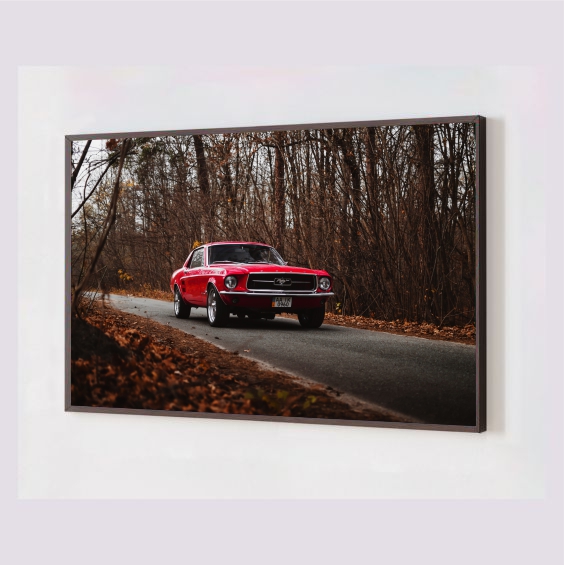 Quadro Decorativo Mustang em Adesivo com Moldura Caixa