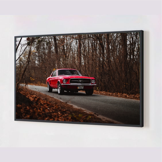 Quadro Decorativo Mustang em Adesivo com Moldura Caixa