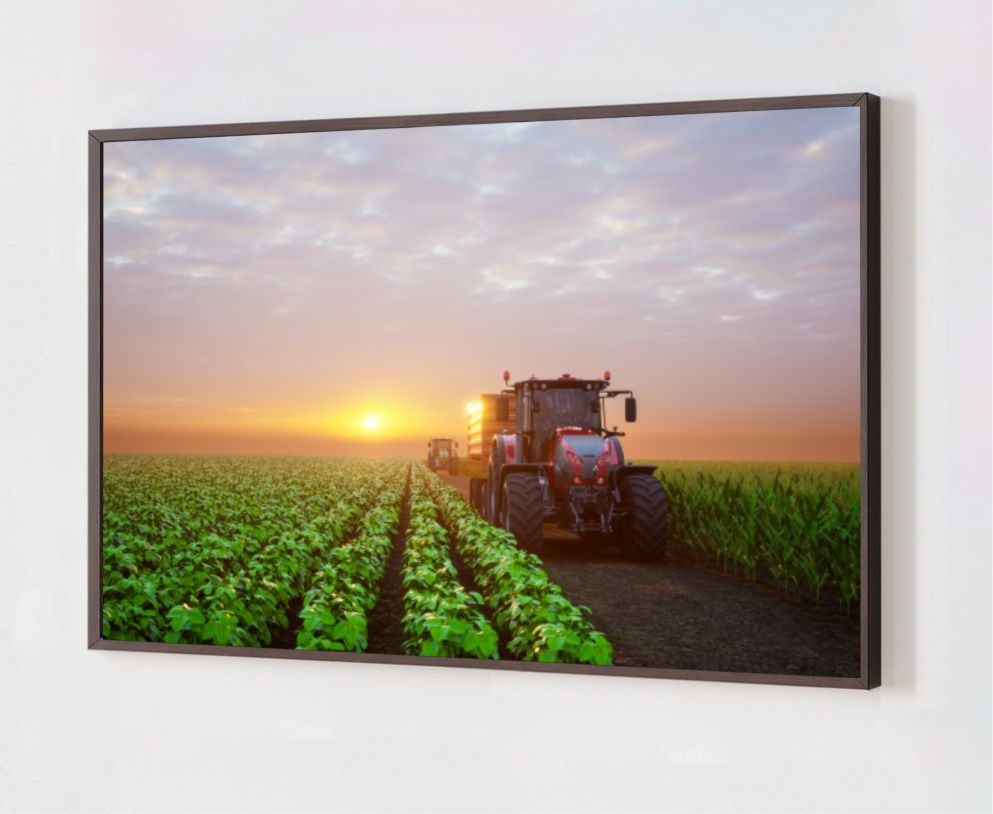 Quadro Decorativo Plantação em Adesivo com Moldura Caixa