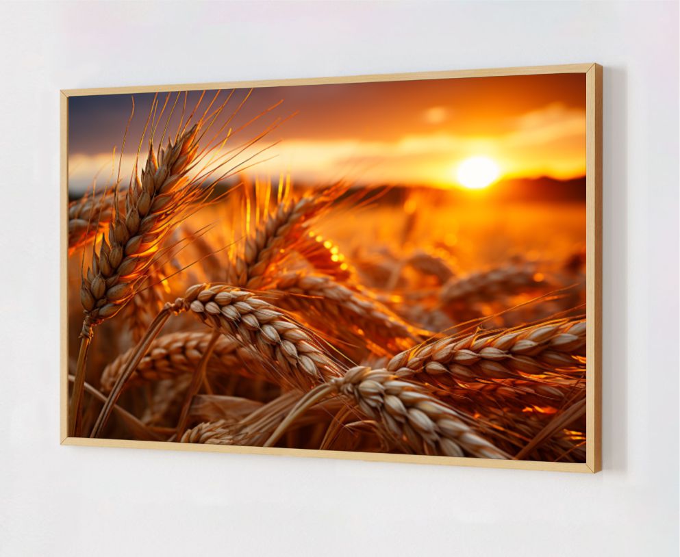 Quadro Decorativo Plantação de Trigo em Adesivo com Moldura Caixa