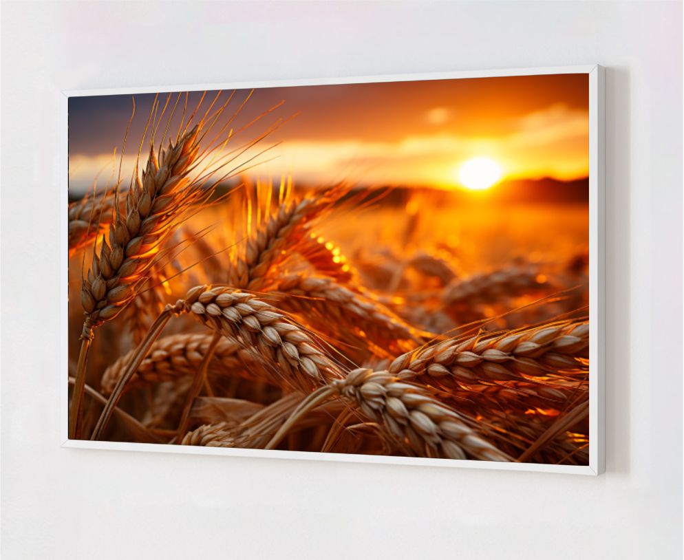 Quadro Decorativo Plantação de Trigo em Adesivo com Moldura Caixa