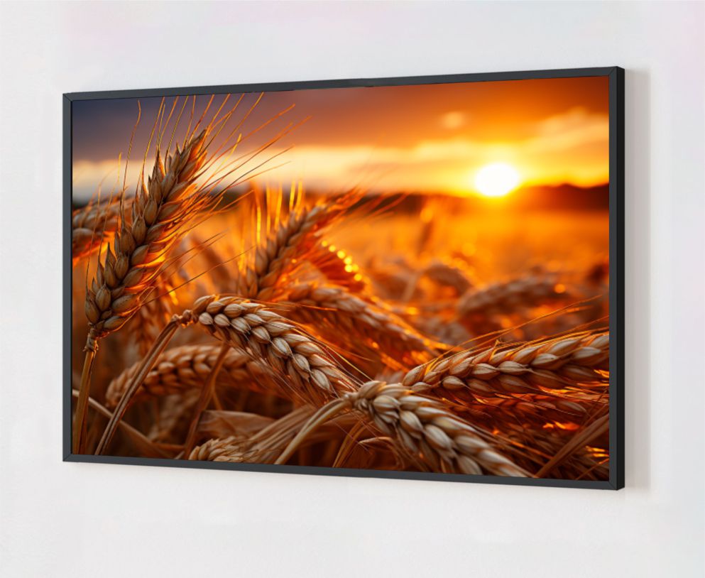 Quadro Decorativo Plantação de Trigo em Adesivo com Moldura Caixa