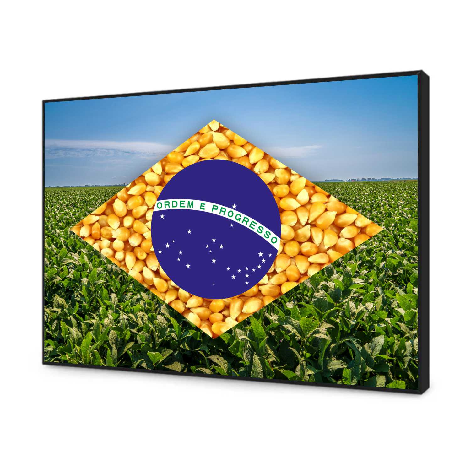 Quadro Decorativo Bandeira do Brasil Agro Modelo 01