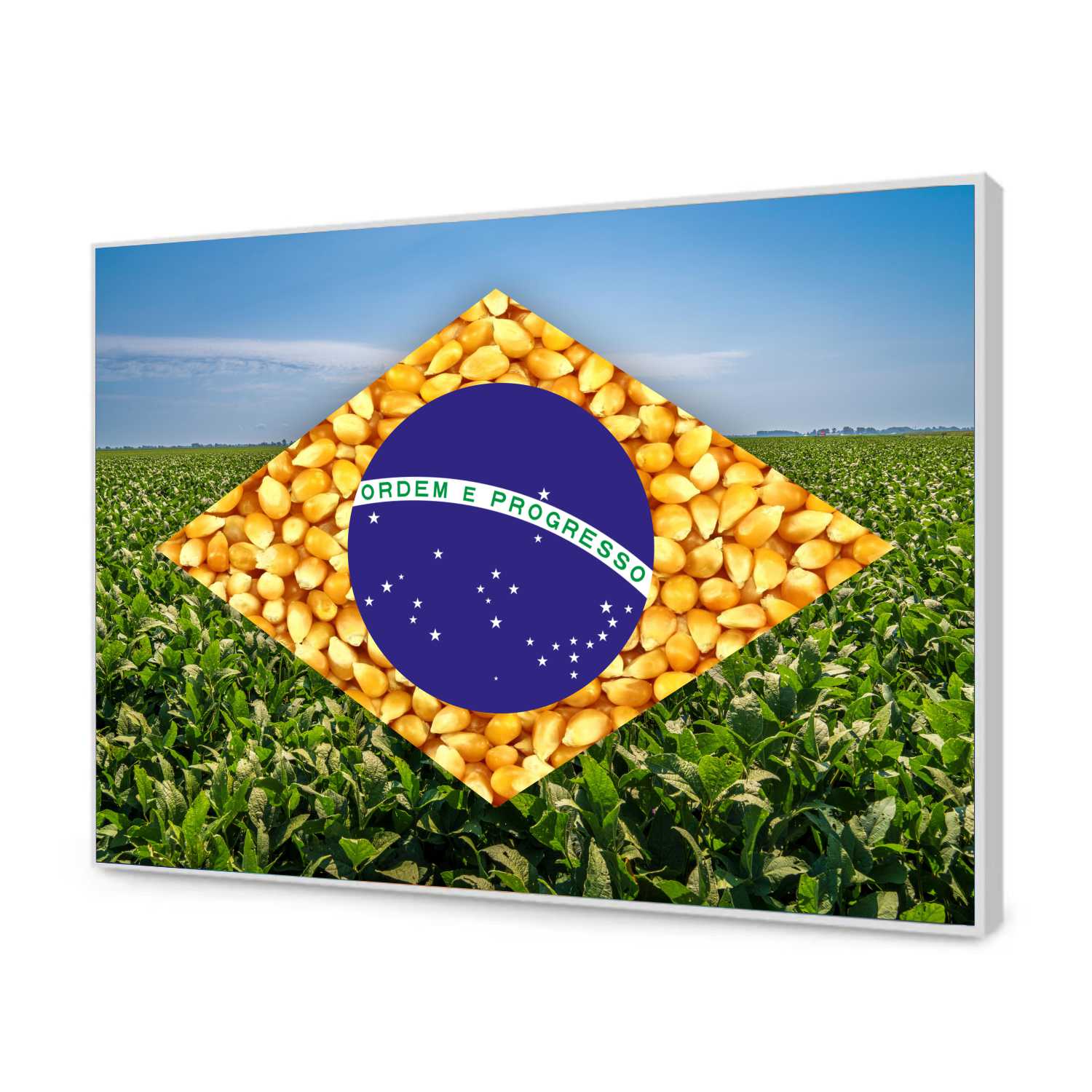 Quadro Decorativo Bandeira do Brasil Agro Modelo 01