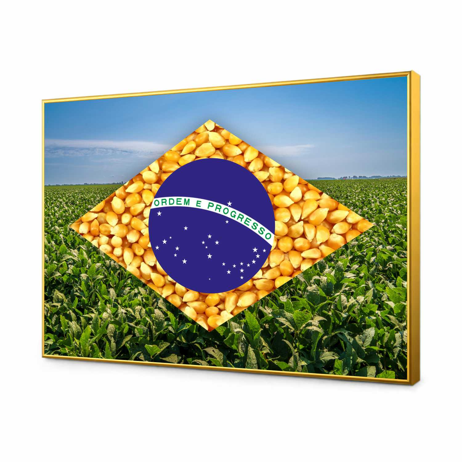 Quadro Decorativo Bandeira do Brasil Agro Modelo 01