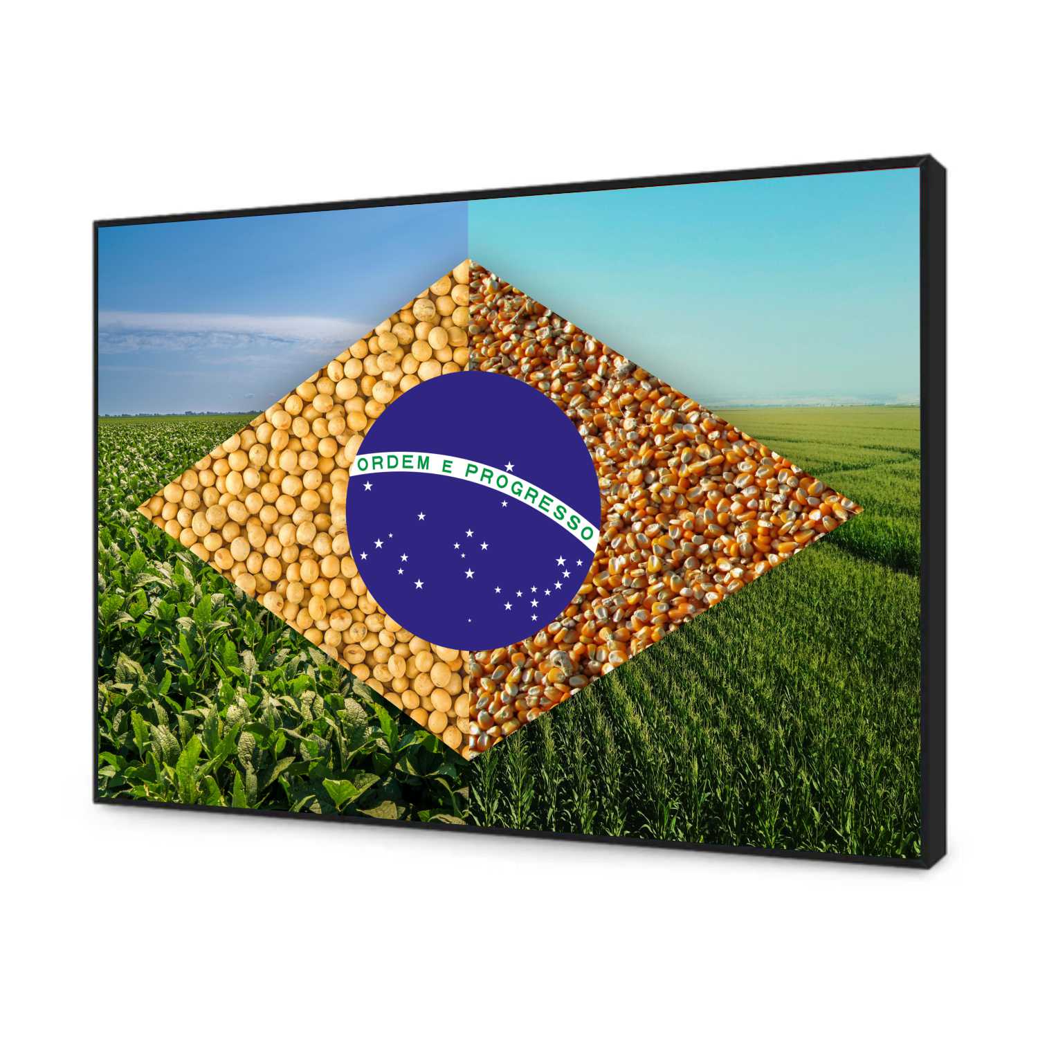 Quadro Decorativo Bandeira do Brasil Agro Modelo 02