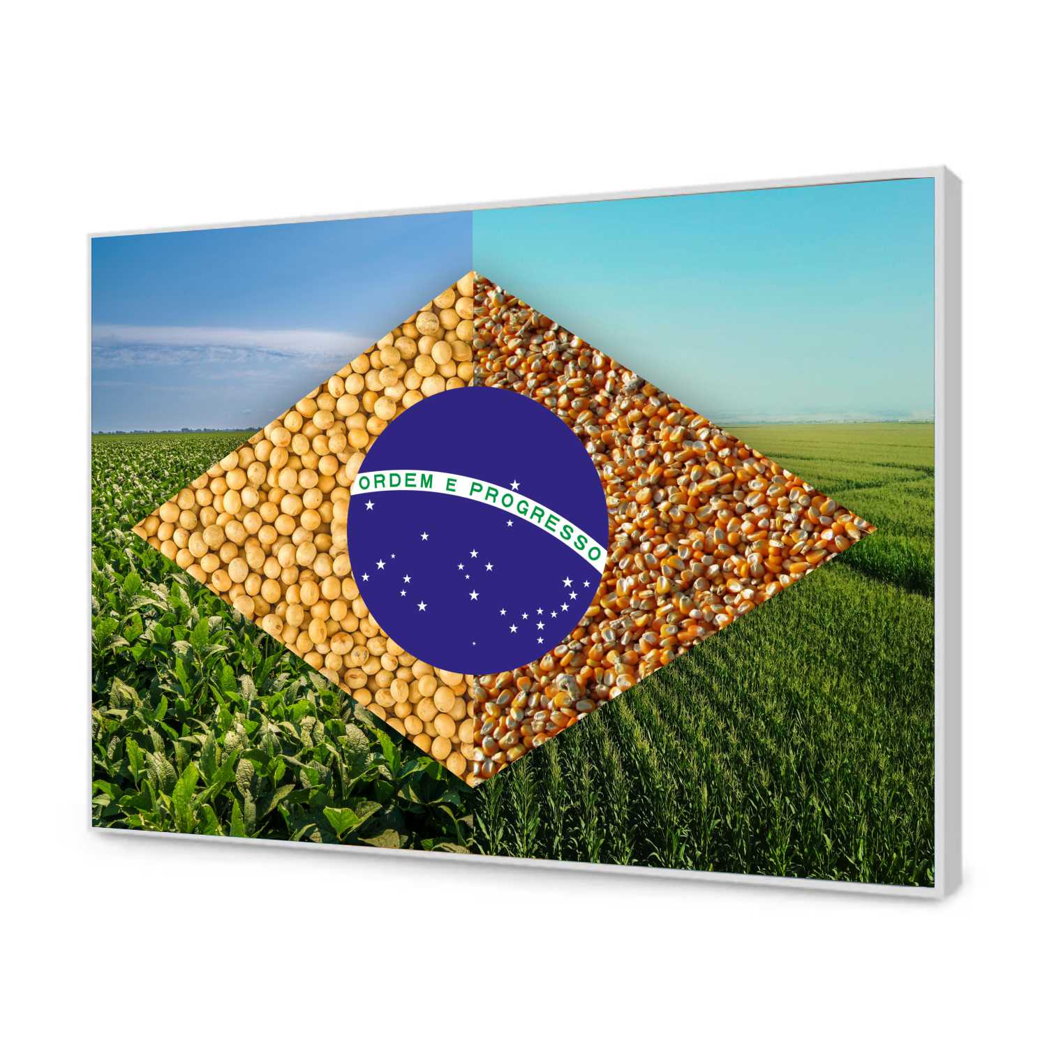 Quadro Decorativo Bandeira do Brasil Agro Modelo 02