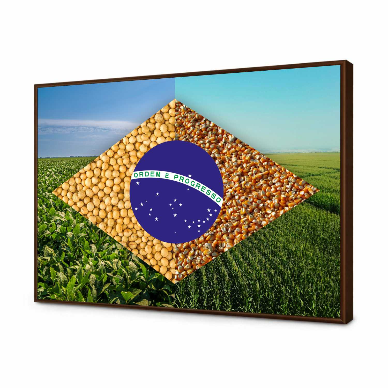 Quadro Decorativo Bandeira do Brasil Agro Modelo 02