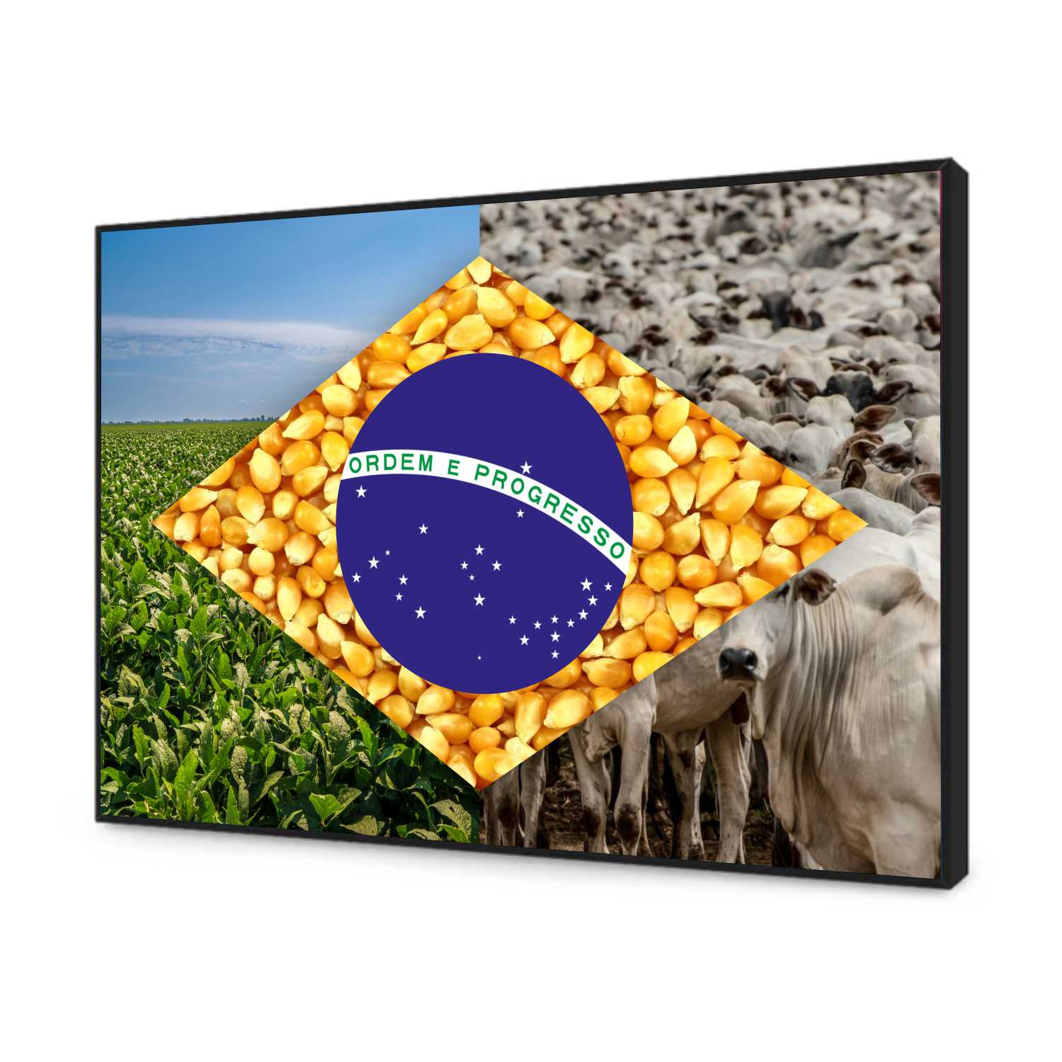 Quadro Decorativo Bandeira do Brasil Agro Modelo 03