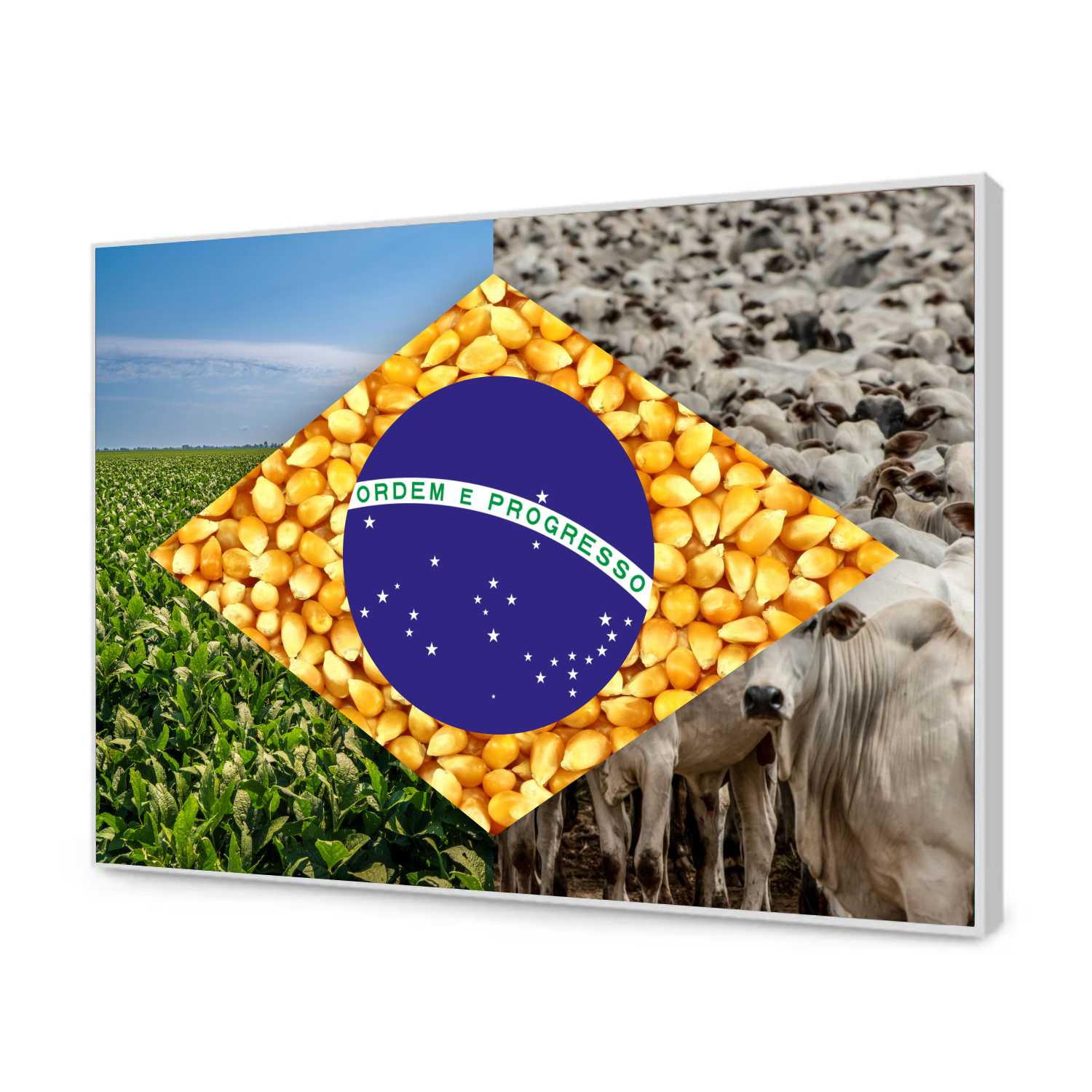 Quadro Decorativo Bandeira do Brasil Agro Modelo 03