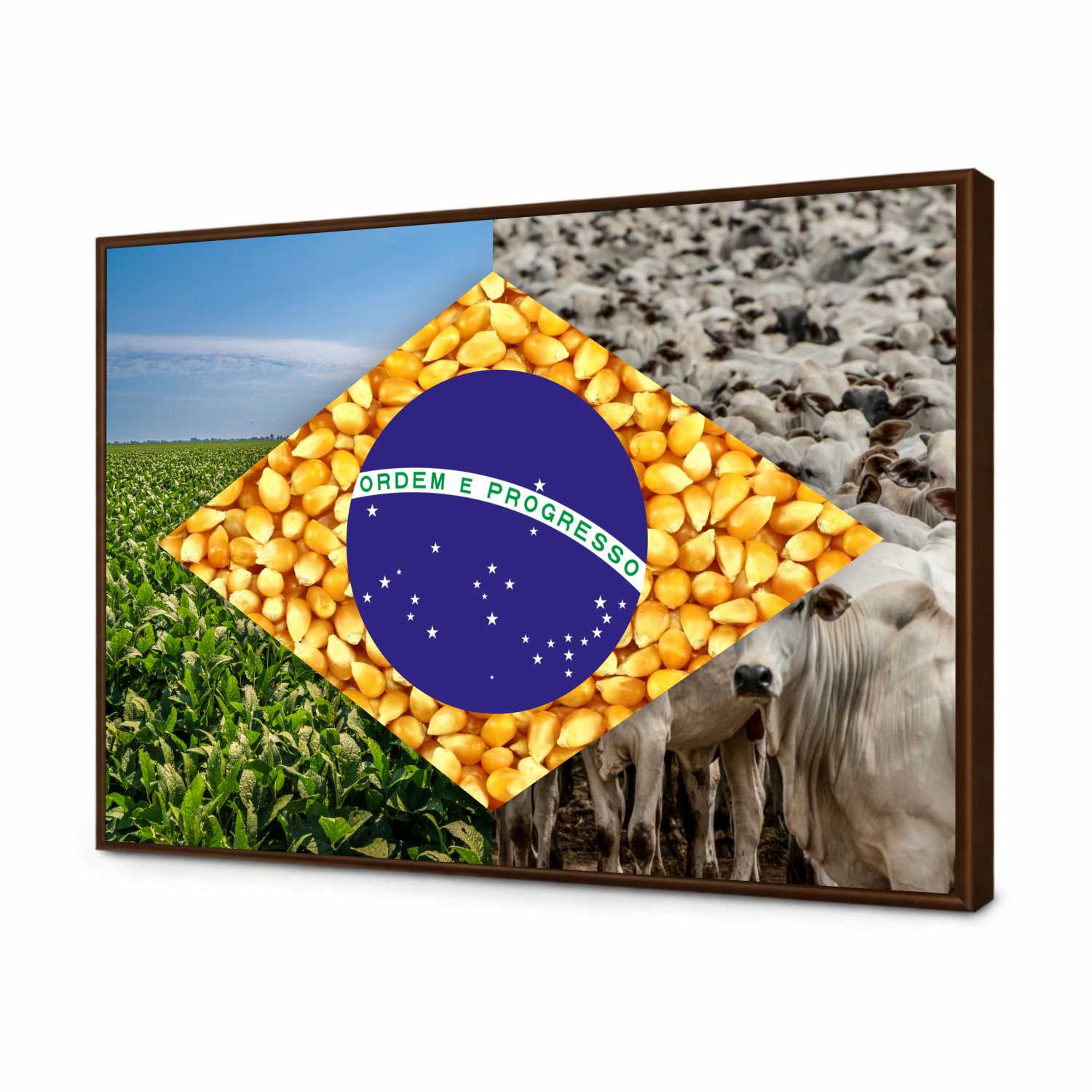 Quadro Decorativo Bandeira do Brasil Agro Modelo 03