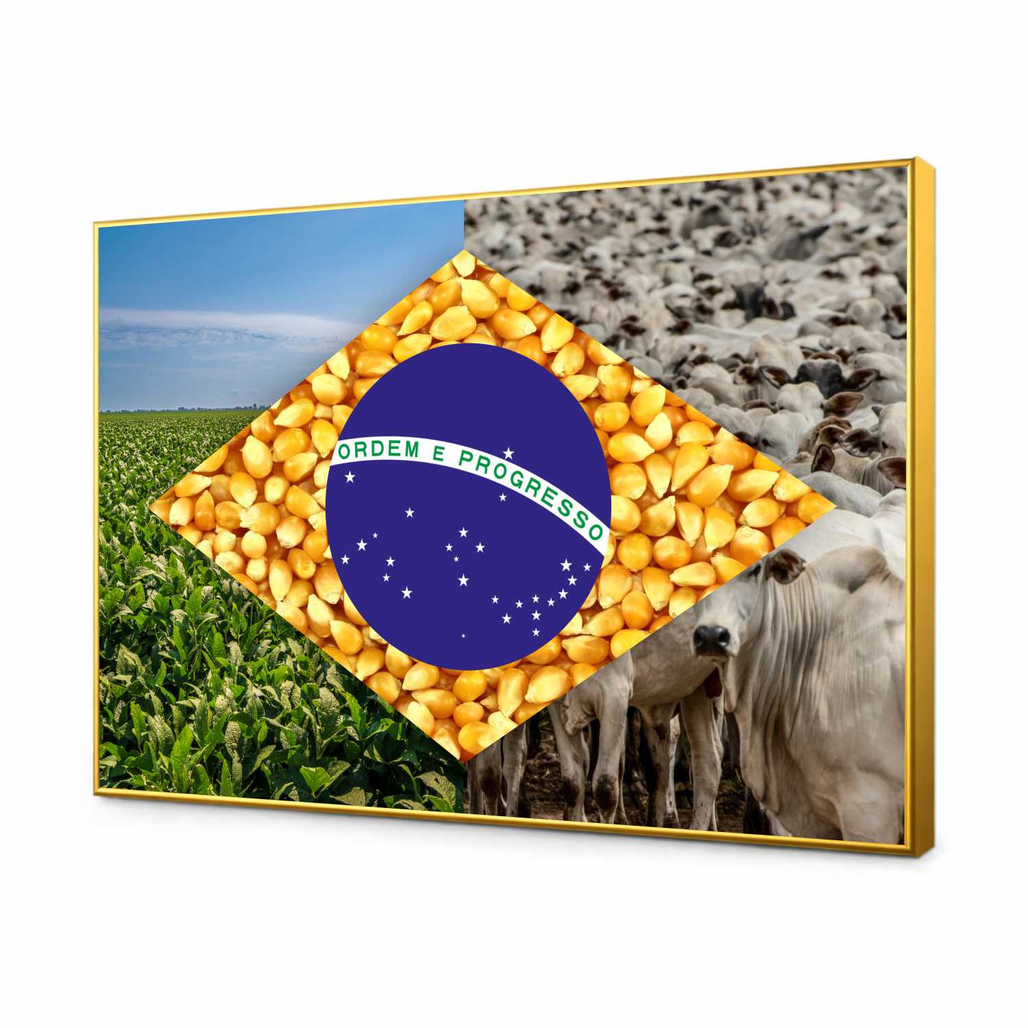 Quadro Decorativo Bandeira do Brasil Agro Modelo 03