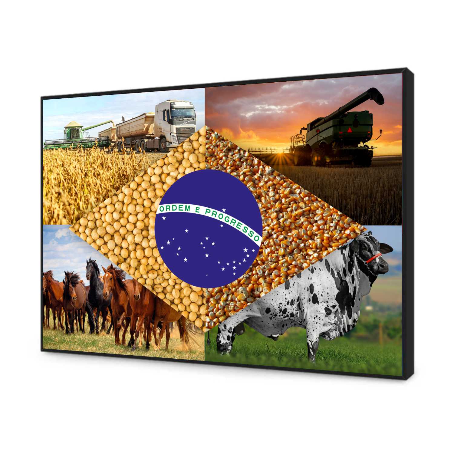 Quadro Decorativo Bandeira do Brasil Agro Modelo 04