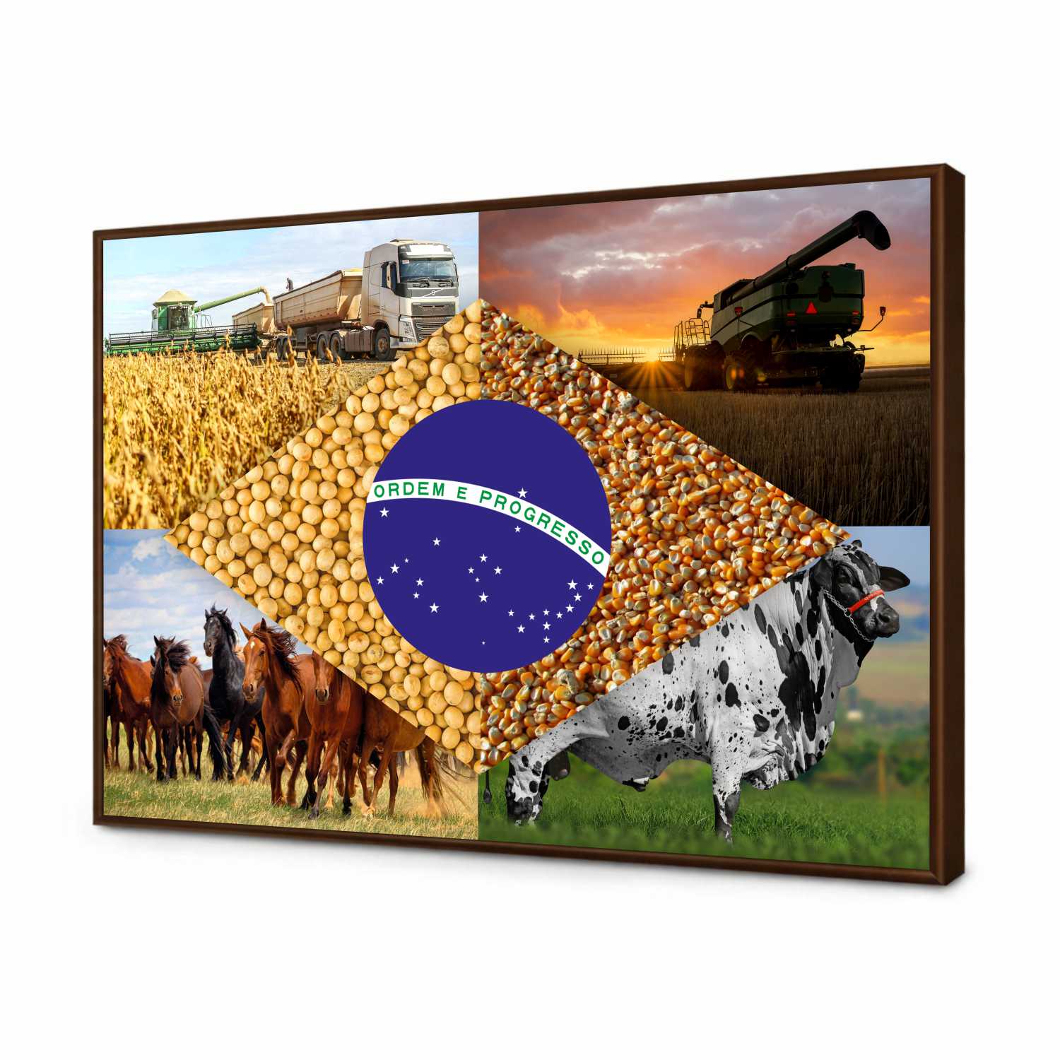Quadro Decorativo Bandeira do Brasil Agro Modelo 04