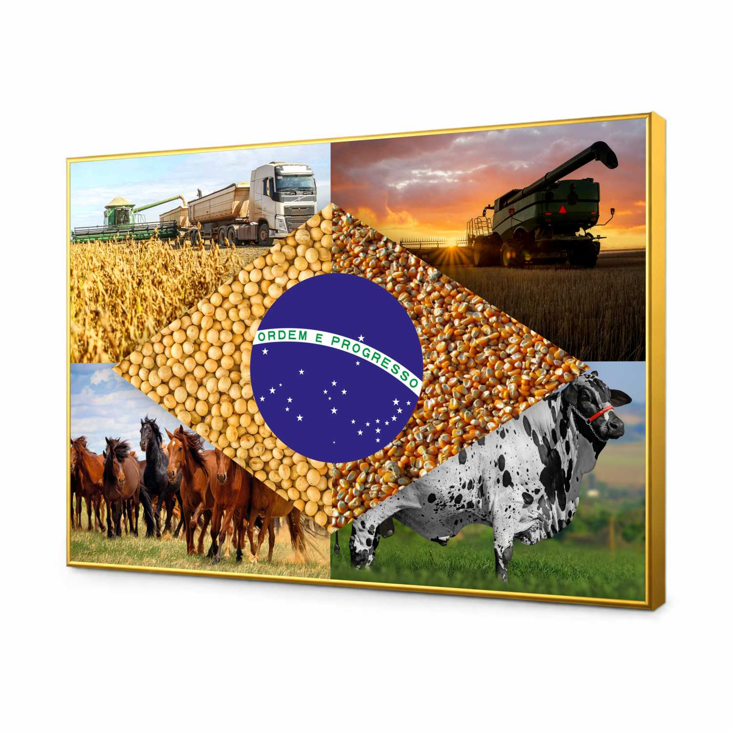 Quadro Decorativo Bandeira do Brasil Agro Modelo 04
