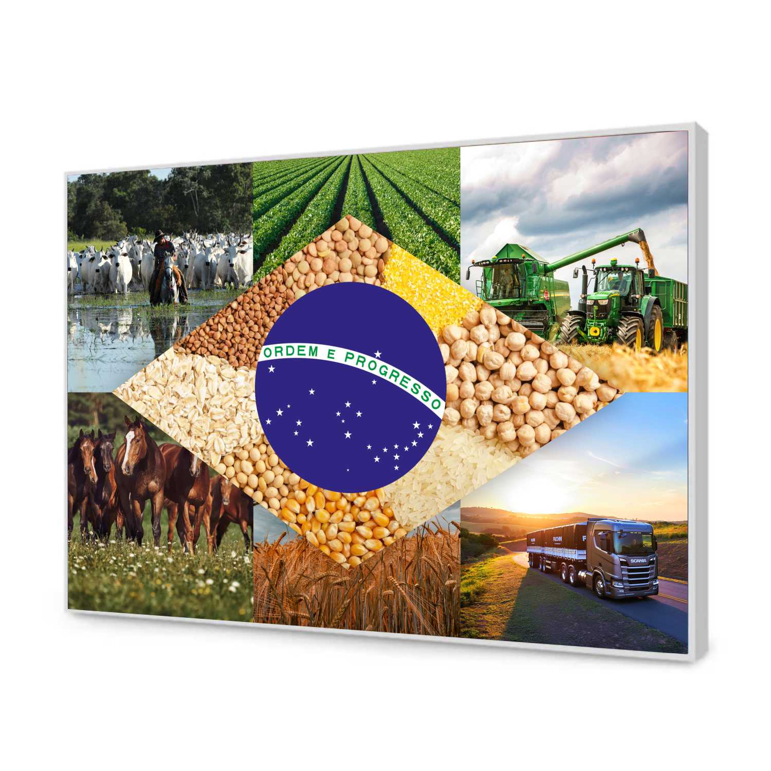 Quadro Decorativo Bandeira do Brasil Agro Modelo 05