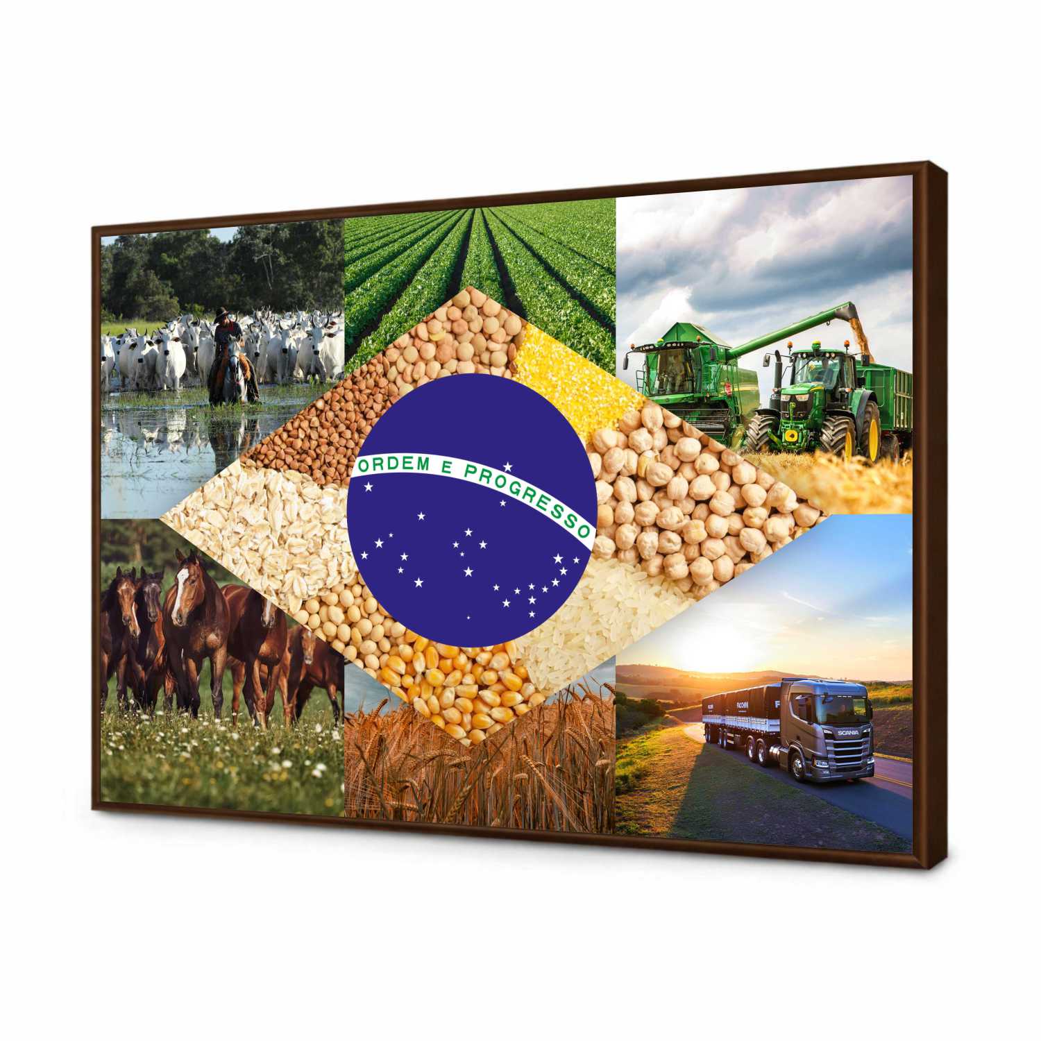 Quadro Decorativo Bandeira do Brasil Agro Modelo 05