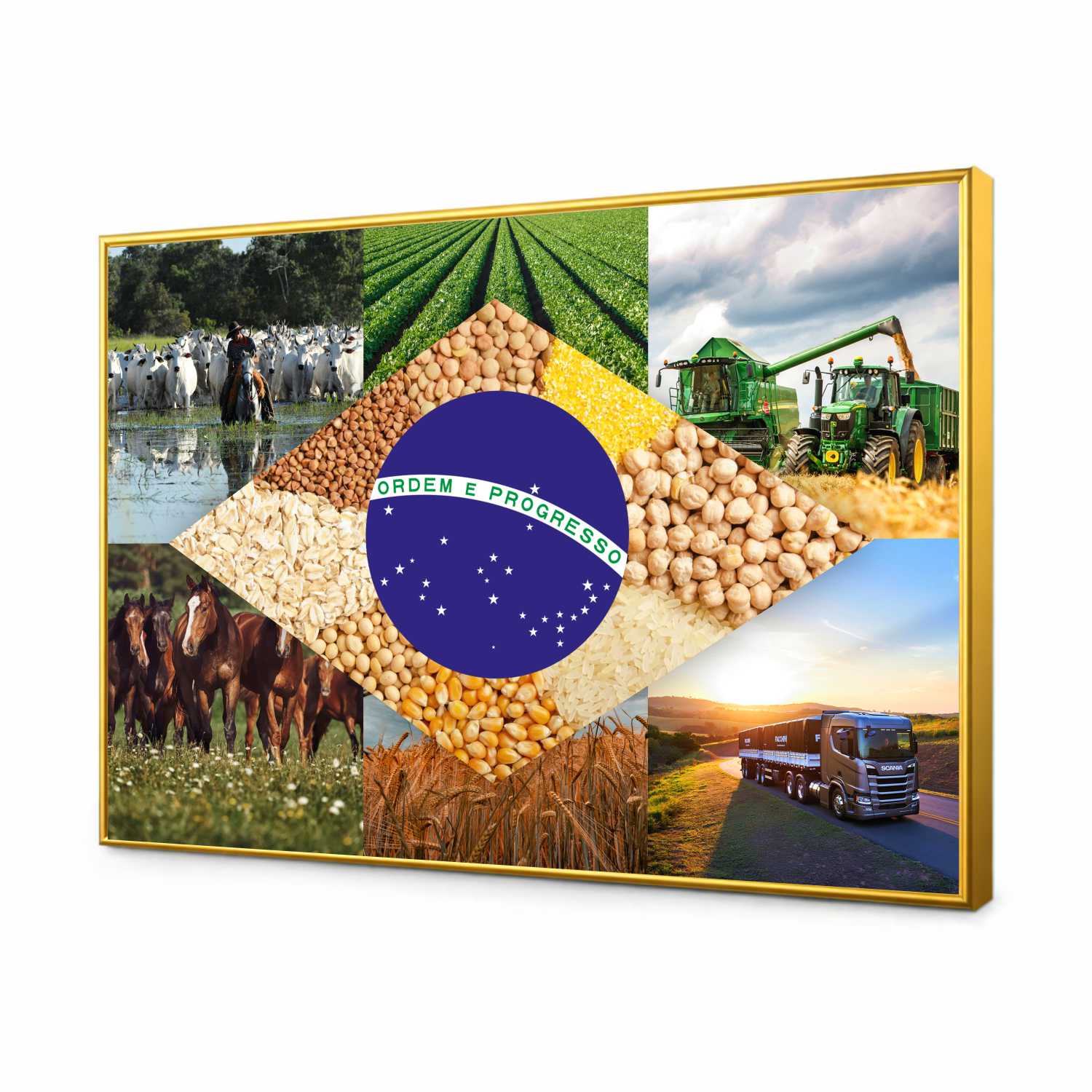 Quadro Decorativo Bandeira do Brasil Agro Modelo 05